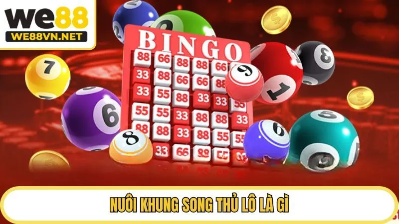 Nuôi khung song thủ lô là gì