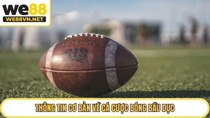 Thông tin cơ bản về cá cược bóng bầu dục